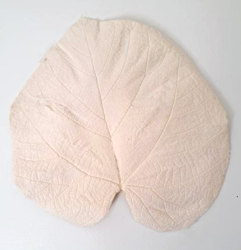mixed pulp cast onto linden leaf