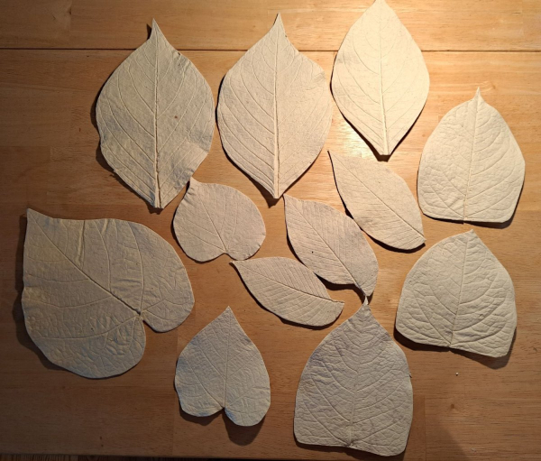 various pulps cast onto living leafs