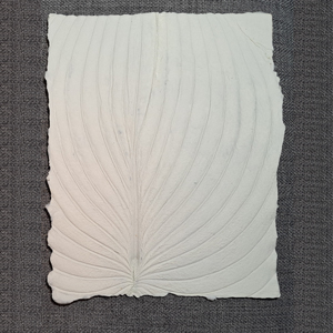 Hosta incised into silvergrass paper