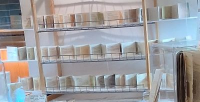 accordion exhibit version