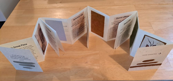 COVID cooperative book on milkweed floss paper